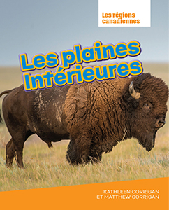 Cover Art for Les plaines Intérieures