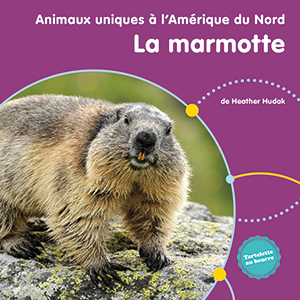 Cover Art for La marmotte