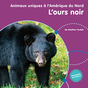 Cover Art for L’ours noir