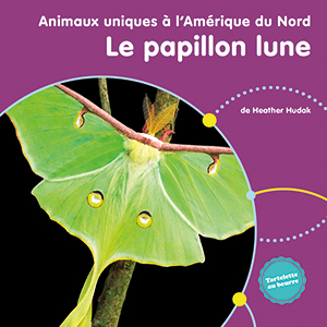Cover Art for Le papillon lune
