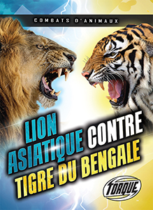 Cover Art for Lion asiatique contre tigre du Bengale