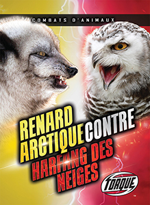 Cover Art for Renard arctique contre harfang des neiges