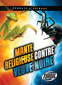 Cover Art for Mante religieuse contre veuve noire