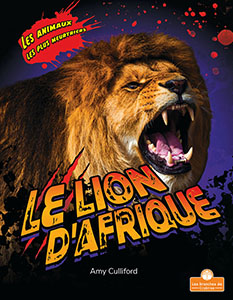 Cover Art for Le lion d'Afrique