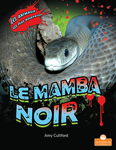 Cover Art for Le mamba noir