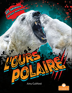 Cover Art for L'ours polaire