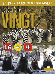 Cover Art for Je peux faire vingt