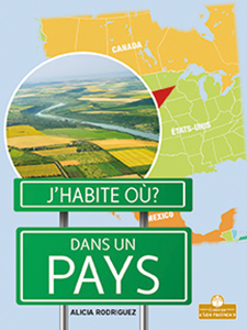 Cover Art for Dans un pays
