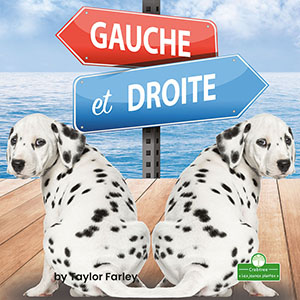 Cover Art for Gauche et droite
