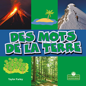 Cover Art for Des mots de la terre