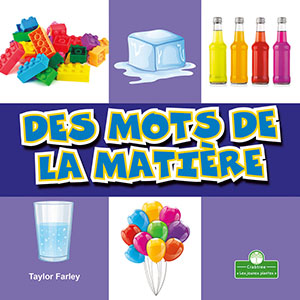 Cover Art for Des mots de la matière