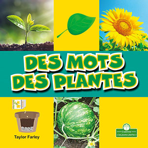 Cover Art for Des mots des plantes