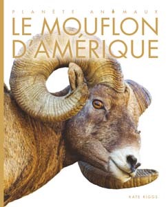 Cover Art for Le mouflon d'Amérique