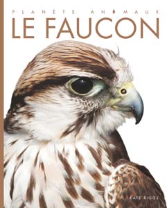 Cover Art for Le faucon