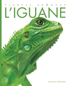 Cover Art for L'iguane