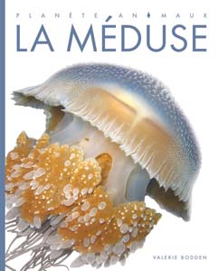 Cover Art for La méduse