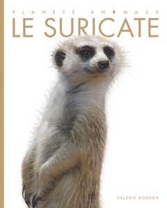 Cover Art for Le suricate