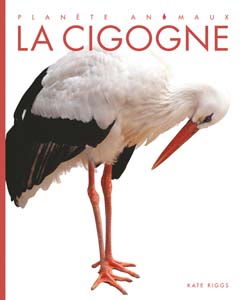 Cover Art for La cigogne