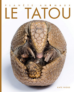 Cover Art for Le tatou