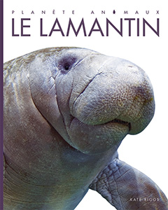 Cover Art for Le lamantin