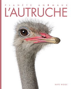 Cover Art for L'autruche