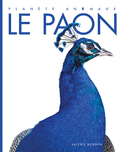 Cover Art for Le paon