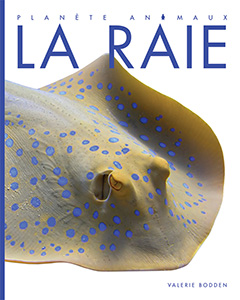 Cover Art for La raie