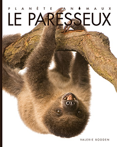 Cover Art for Le paresseux