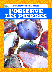 Cover Art for J'observe les pierres