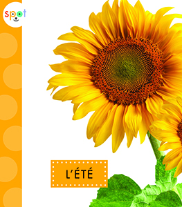 Cover Art for L'été