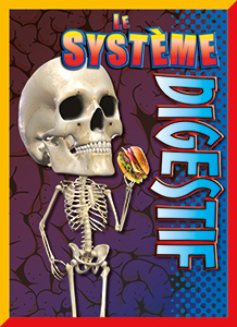 Cover Art for Le système digestif