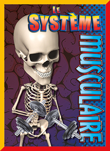 Cover Art for Le système musculaire