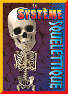 Cover Art for Le système squelettique