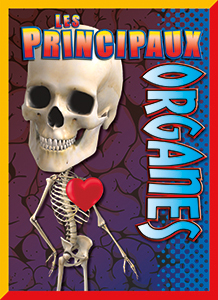 Cover Art for Les principaux organes