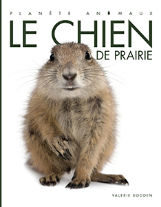 Cover Art for Le chien de prairie