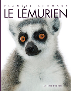 Cover Art for Le lémurien