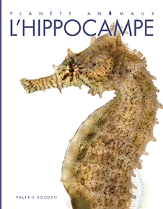 Cover Art for L'hippocampe