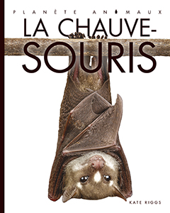Cover Art for La chauve-souris