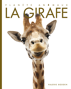 Cover Art for La girafe