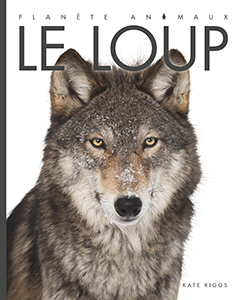 Cover Art for Le loup