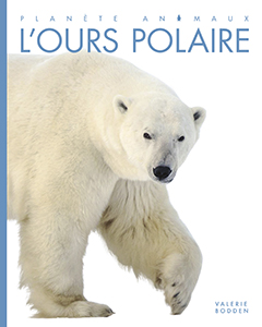 Cover Art for L'ours polaire
