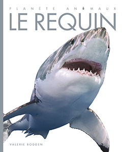 Cover Art for Le requin
