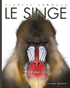 Cover Art for Le singe