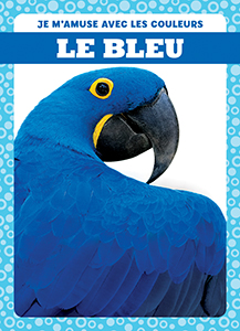 Cover Art for Le bleu