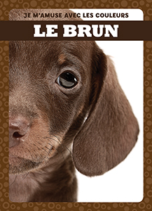 Cover Art for Le brun