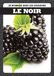 Cover Art for Le noir
