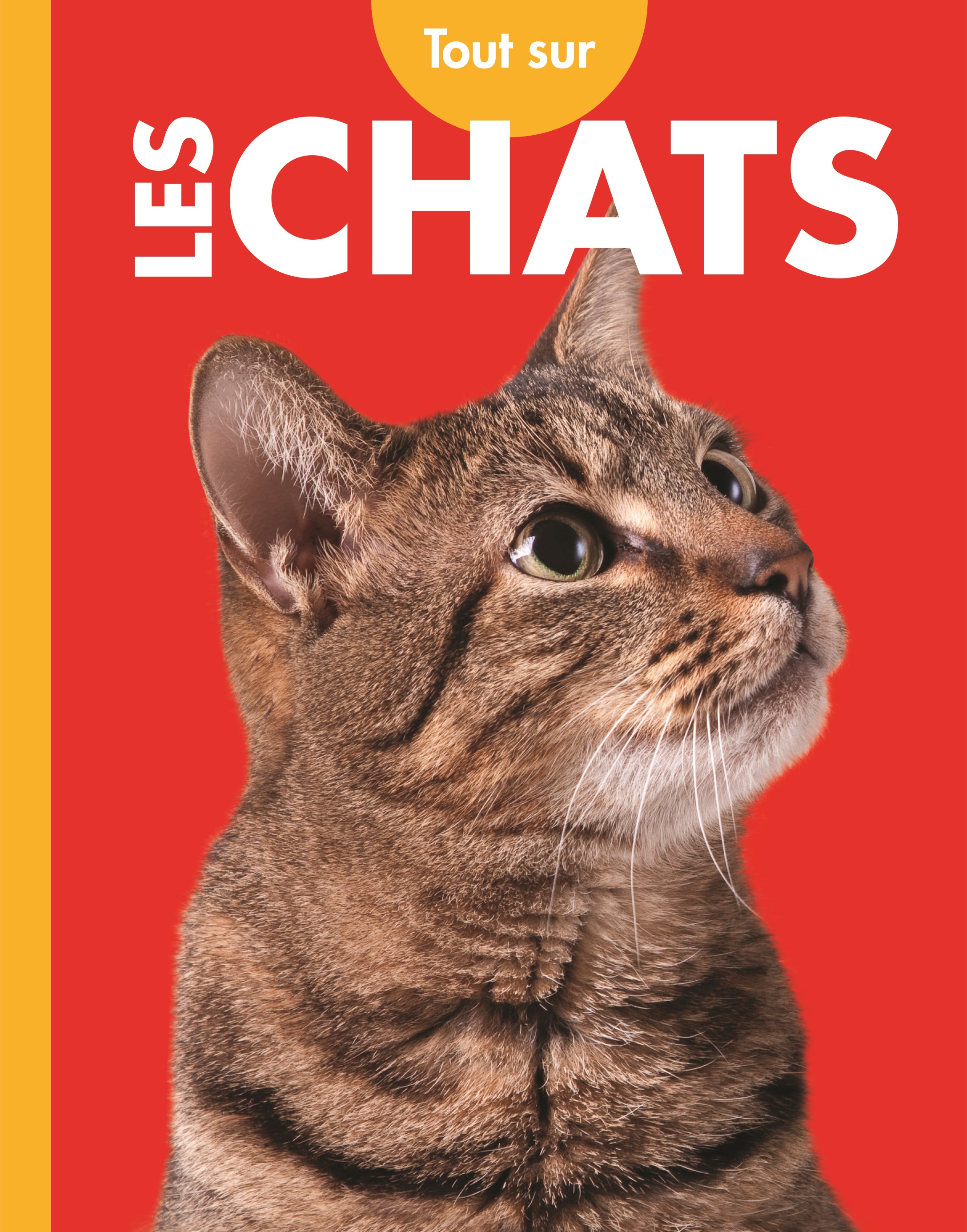 Cover Art for Tout sur les chats