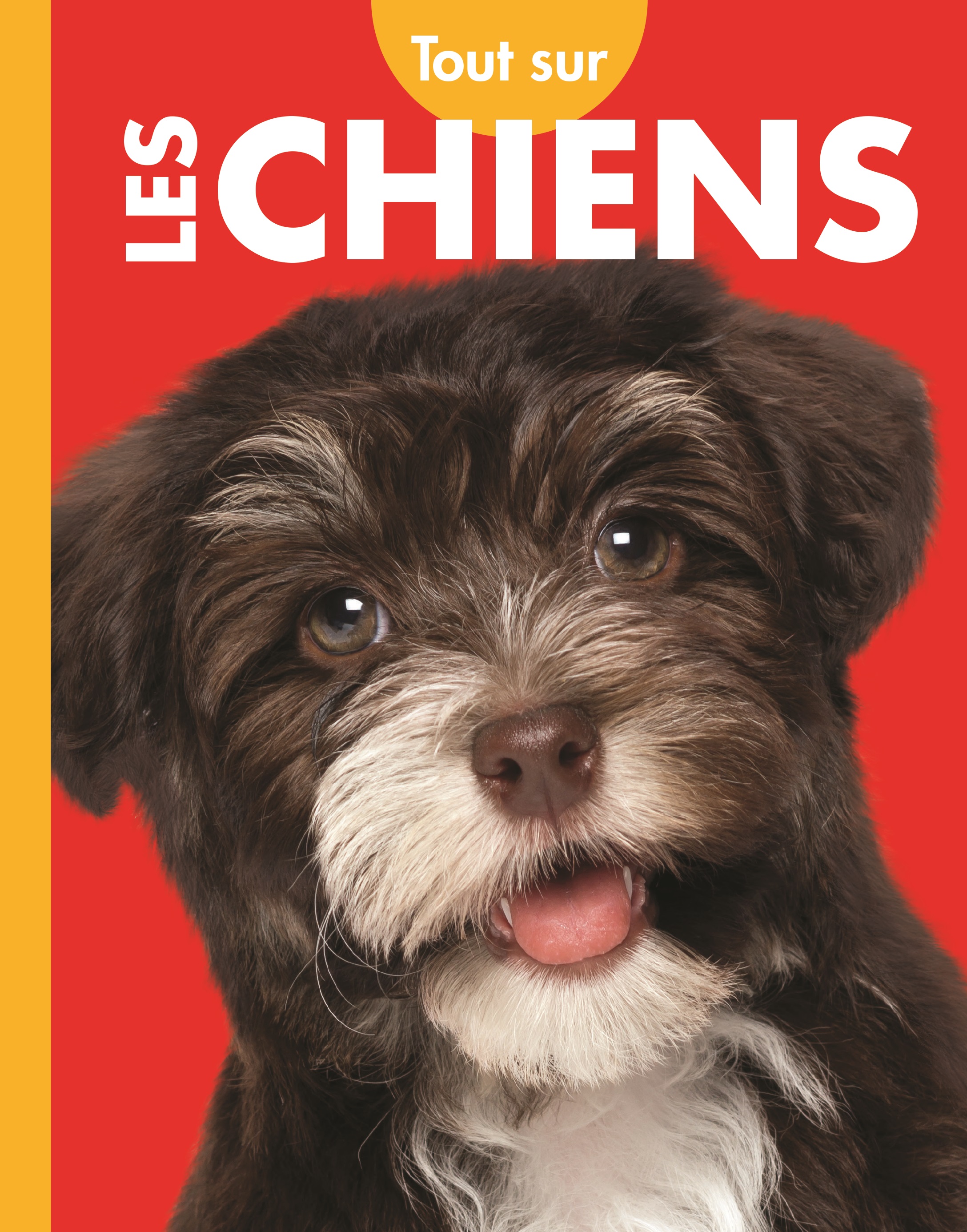 Cover Art for Tout sur les chiens