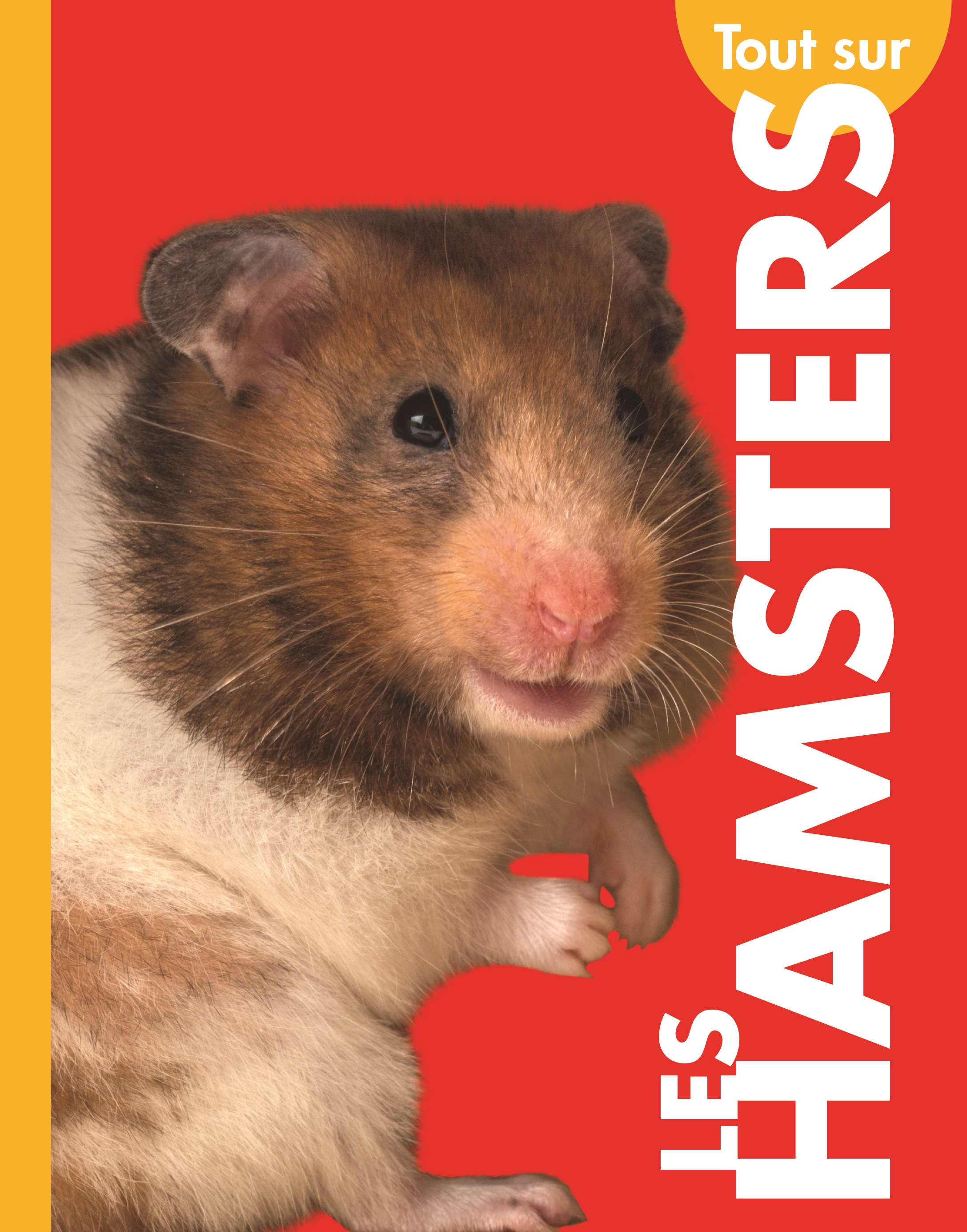 Cover Art for Tout sur les hamsters