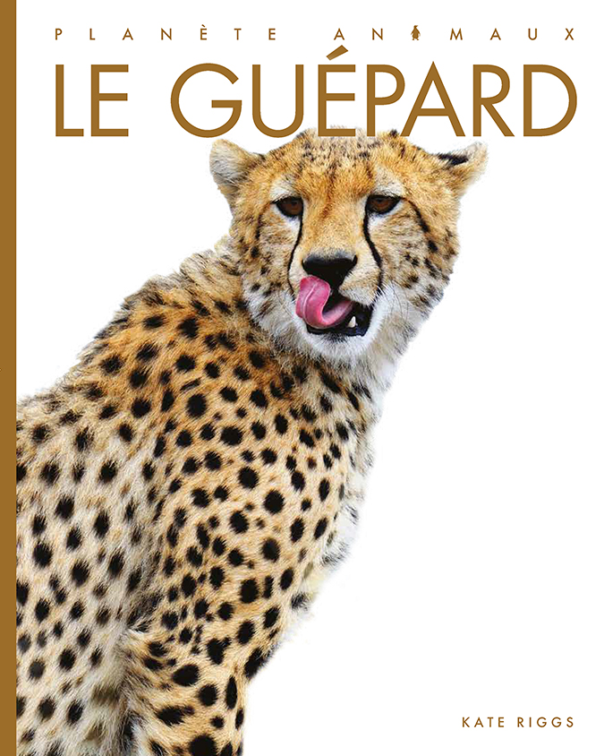 Cover Art for Le guépard